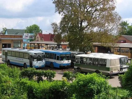 Шаховской автовокзал расписание автобусов