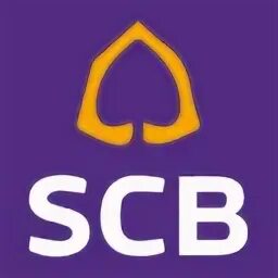 Scb im hva