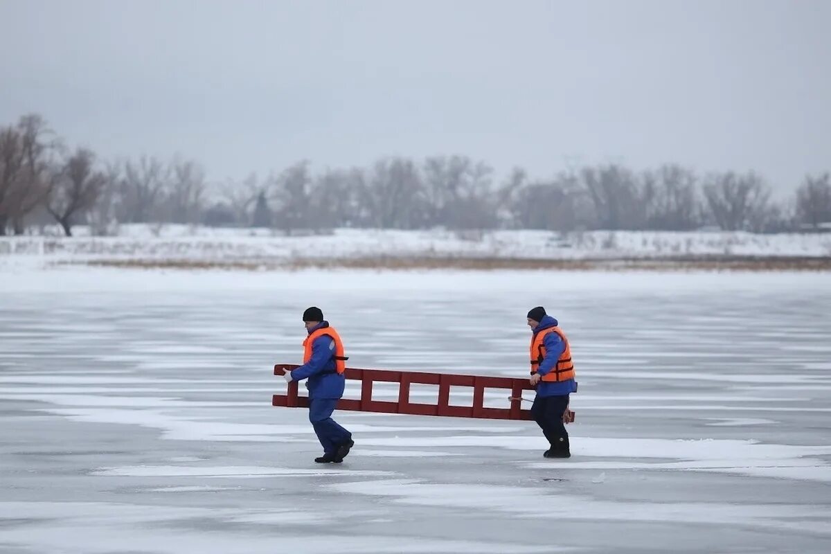 Майская полынь. Стихотворение звезда полей во мгле заледенелой. Река иртыш полынья. Полынья. Смотрит в полынью.