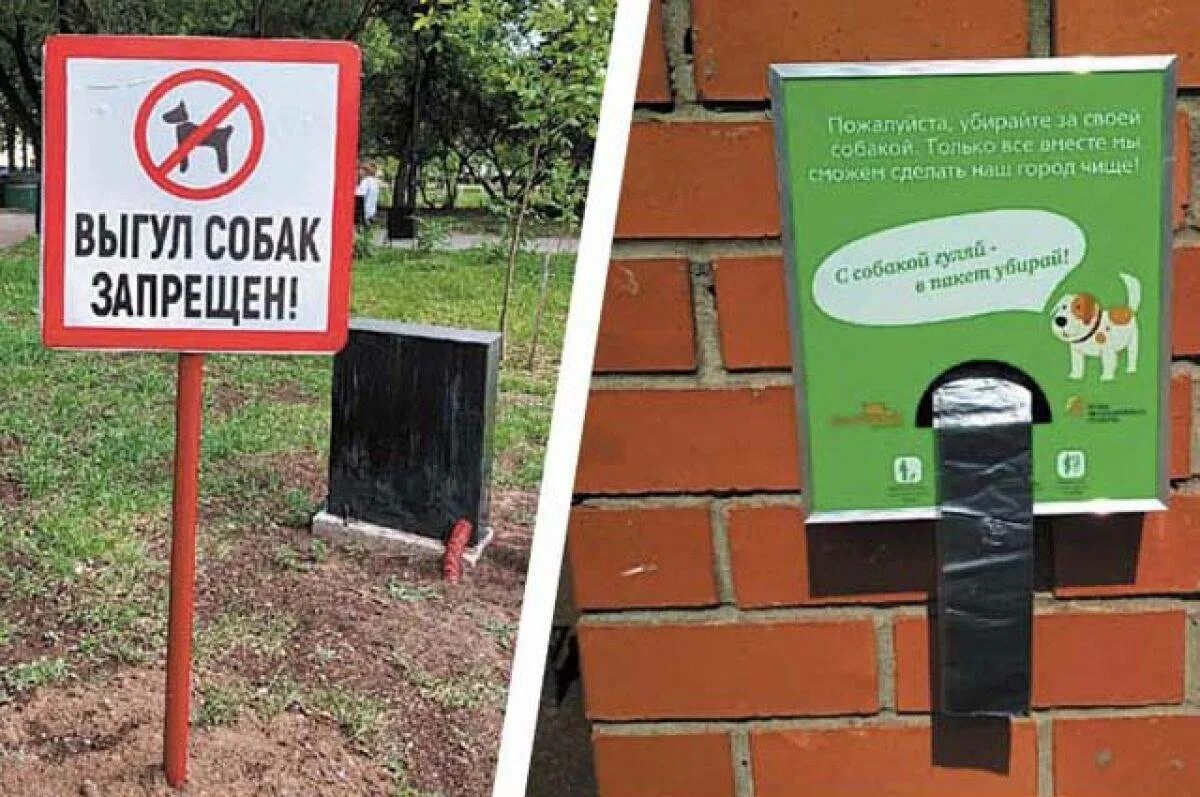 Выгул собак в общественном месте. Выгул собак запрещен. выгул собак на детской площадке запрещен табличка. установлен знак выгул собак запрещен. предупреждающие таблички выгул собак не.