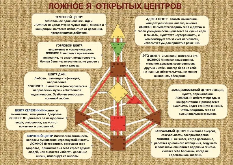 Авторитеты в дизайне человека. Уенты в дизайне человека. Ложное я центров в дизайне человека. Центры в дизайне человека. Центры в бодиграфе.