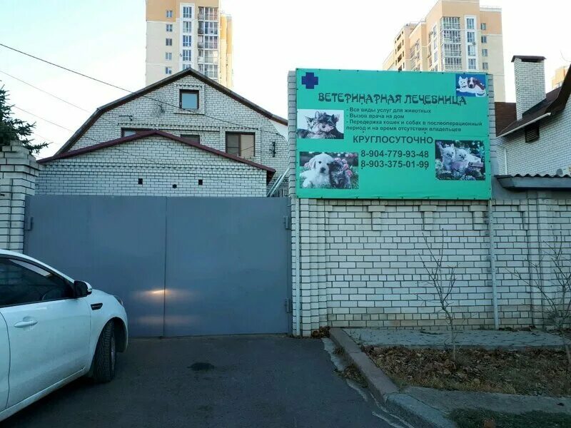 Ветеринарный центр волгоград. Волгоград ветеринарная круглосуточная. Волгоград ветеринарная круглосуточная. Волгоград ветеринарная круглосуточная. Волгоград ветеринарная круглосуточная.