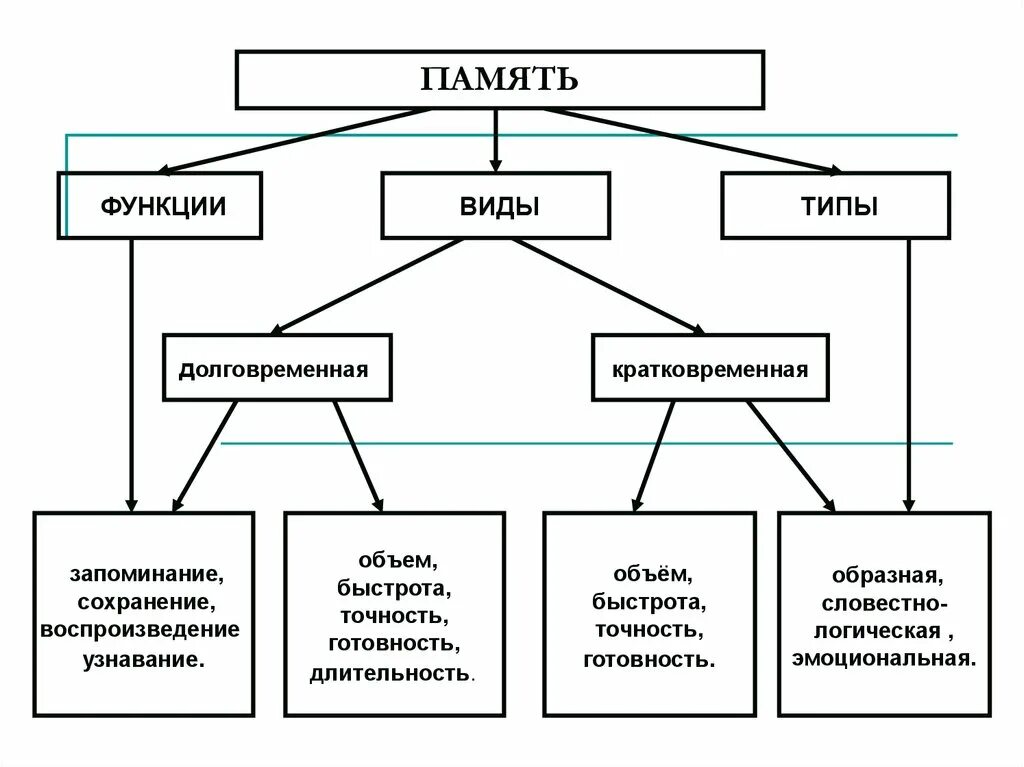 Функции памяти в психологии. Процессы памяти в психологии схема. Памяти человека свойственны функции. Виды функции свойства памяти. Основные понятия памяти