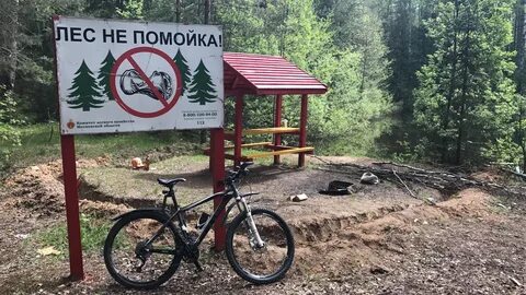 В лесу не ездят