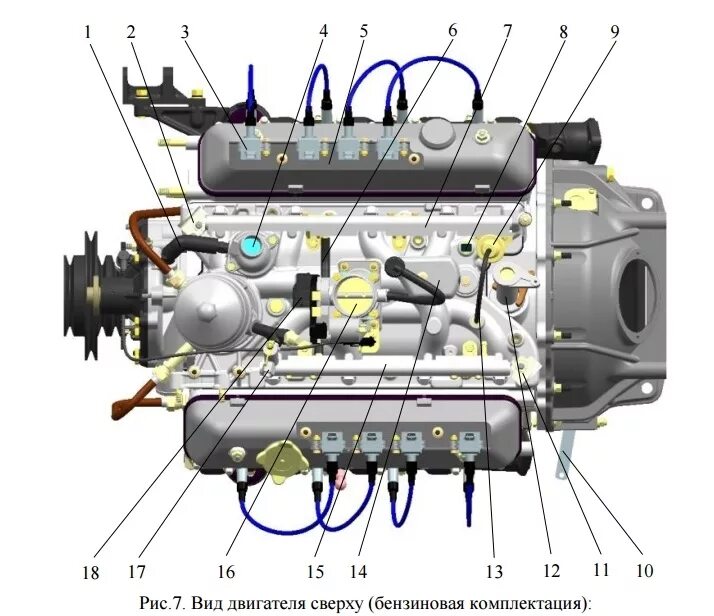 Двигатель газ паз. Инжекторный двигатель ЗМЗ 5245.10. ЗМЗ-5245.10. V8 ЗМЗ-5245.10. Инжекторный ЗМЗ-v8 5245.10.