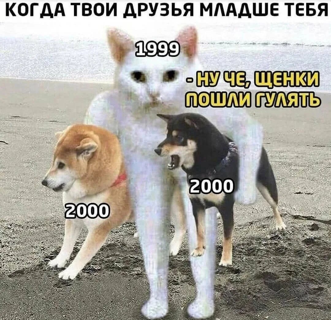 Привет! привет? ты. Когда все твои друзья женились. Тут твои друзья. Здесь мои друзья. Тут твои друзья.