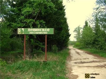 Ленинском лесхозе