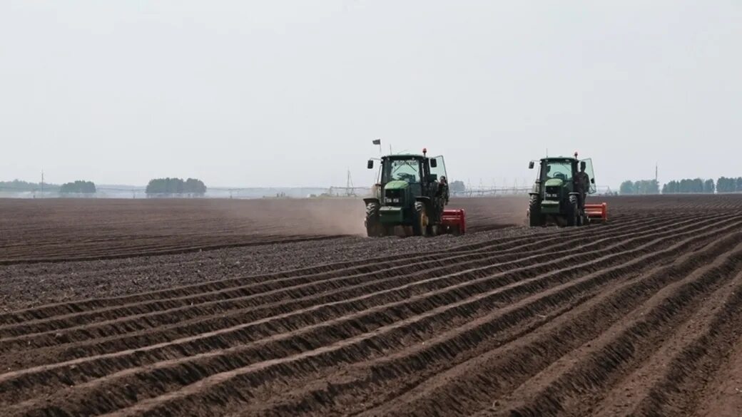Культивация земли алтай. Посевная черепановский район. Посевная кампания в алтайском крае. Посевная 2023 алтайского края агро-сибирь. Посевная алтайский край.
