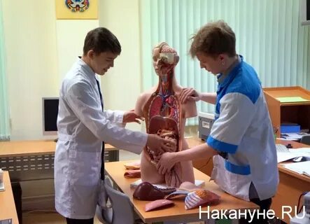 Колледж сократят