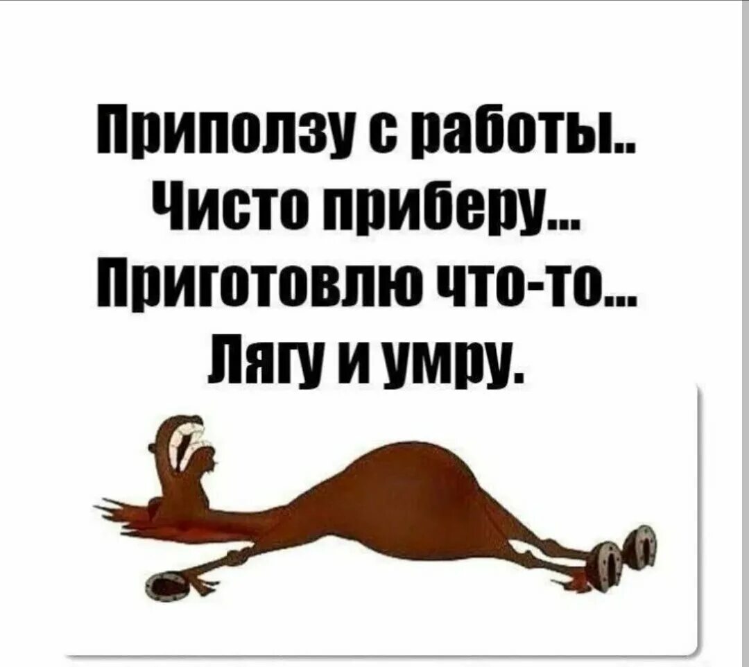 Картинка про работу прикольная с надписью. Приколы про работу. Цитаты про работу смешные. Прикольные открытки про работу. Приколы про работу в картинках.