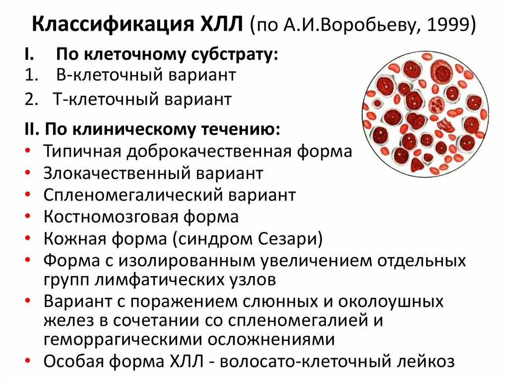 B хронический лимфолейкоз. Хронический лимфоцитарный лейкоз синдромы. Хронические лейкозы лимфолейкоз. Острый лимфобластный лейкоз гистология. Острый лейкоз и хронический лимфолейкоз.