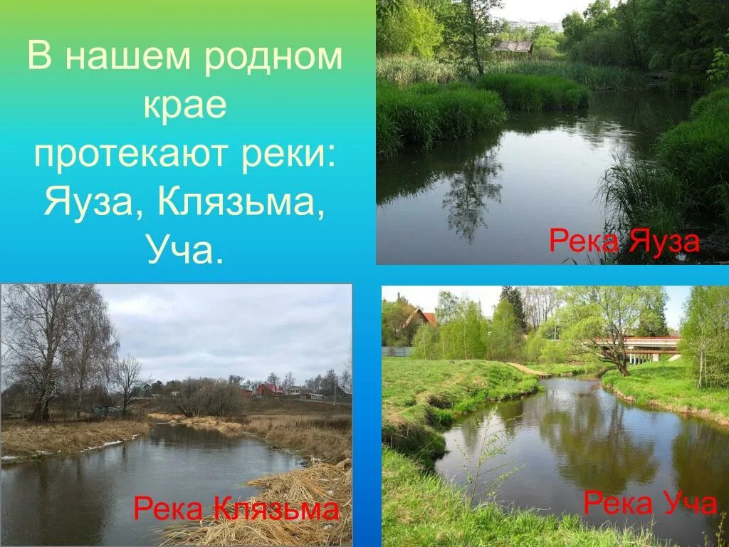 Тип текста река клязьма вьется прохладной. Исток реки клязьма. река клязьма пушкино. как течет река клязьма. схема реки уча.