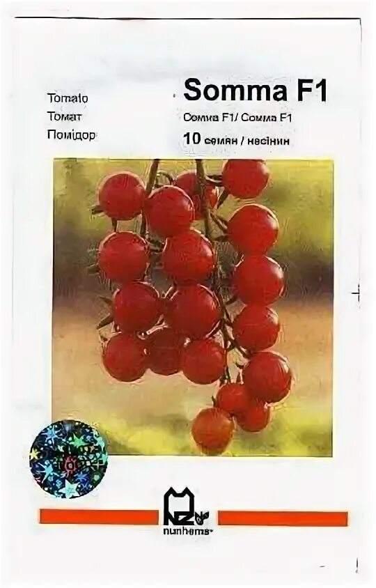 Томат самран самый ранний. Сорт помидор монгольский карлик. Томат в 355 f1. Стелющиеся сорта томатов для открытого грунта. Томат полбиг f1 характеристика.