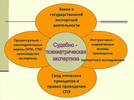 Виды и формы судебной деятельности
