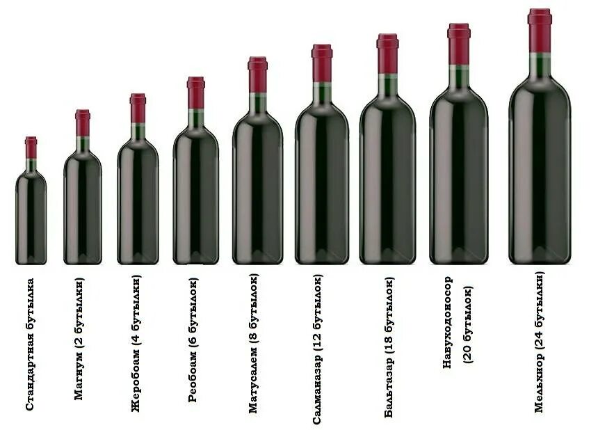 Какой рост у вина. Винная бутылка Размеры Магнум. Размер бутылки Магнум 1.5 л. Бутылка вина 0.375. Диаметр винной бутылки.