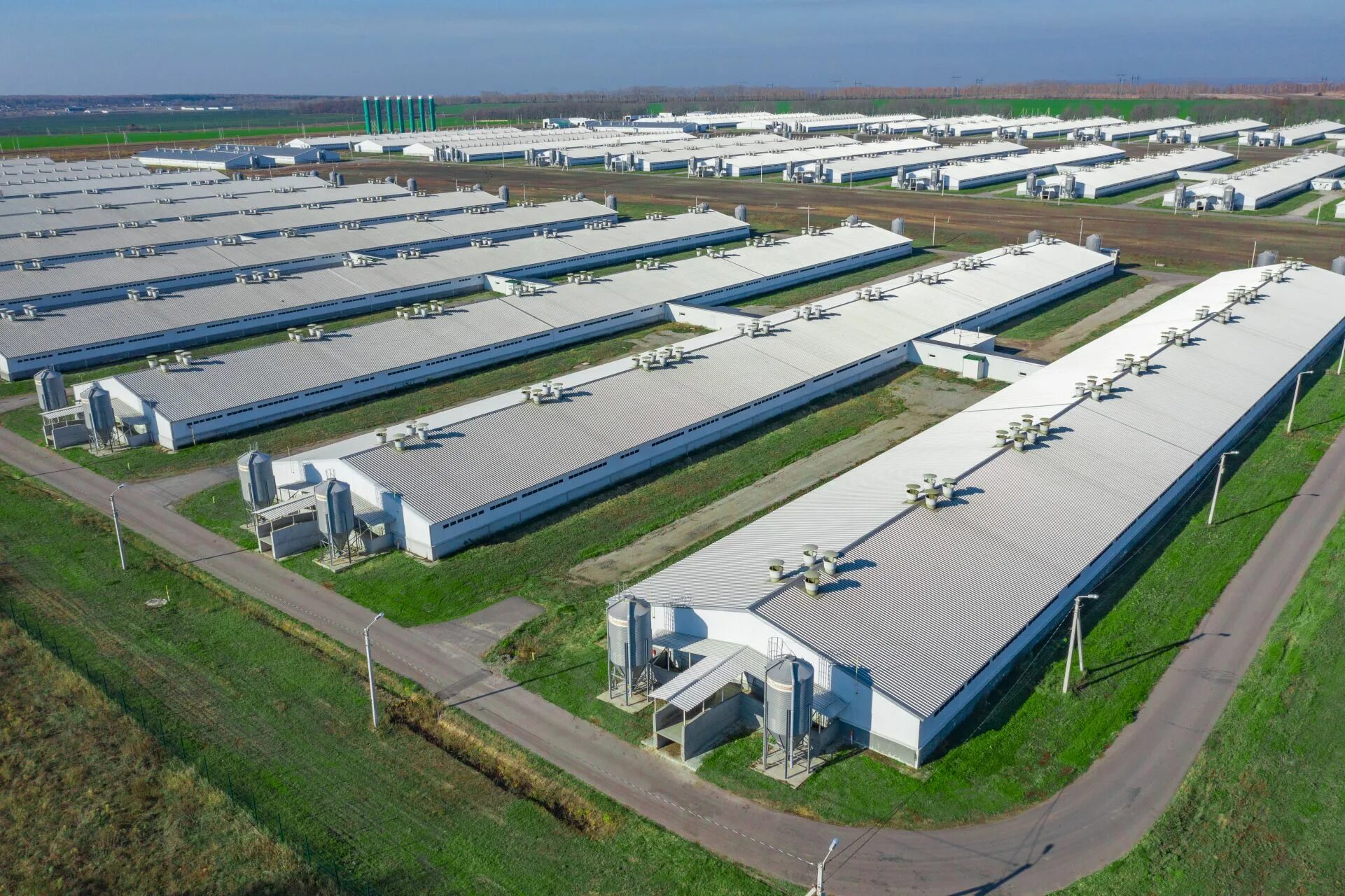 Апх х. Экокультура усмань. Ооо залесье агро калининградская область. Мираторг трактора. Зерновая компания промагро.