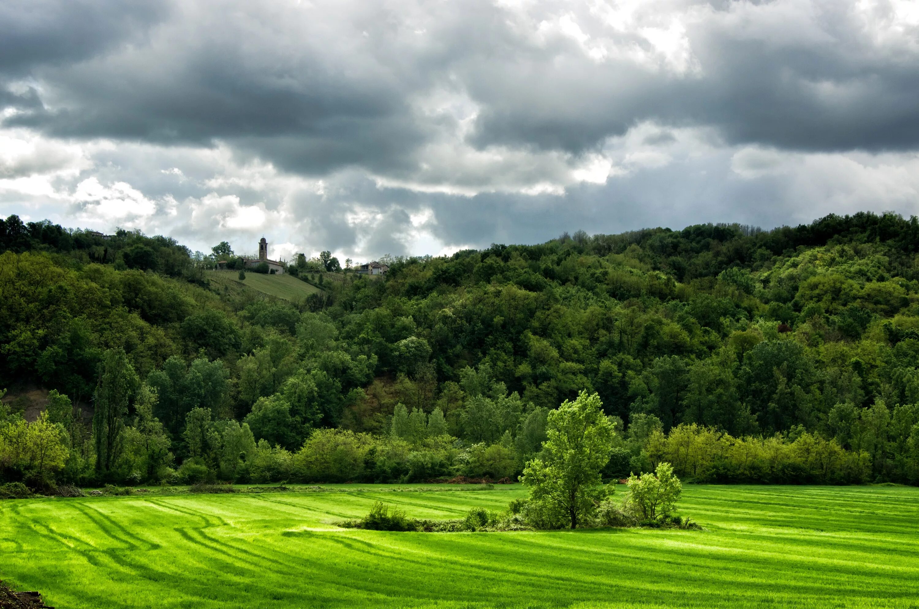 Green Hills зеленые холмы. Холм Кёнигсштуль. Арденнская возвышенность в Бельгии. Горы поросшие лесом