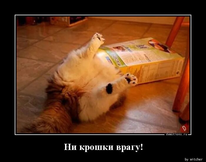 Не останется и крошки. Не останется и крошки