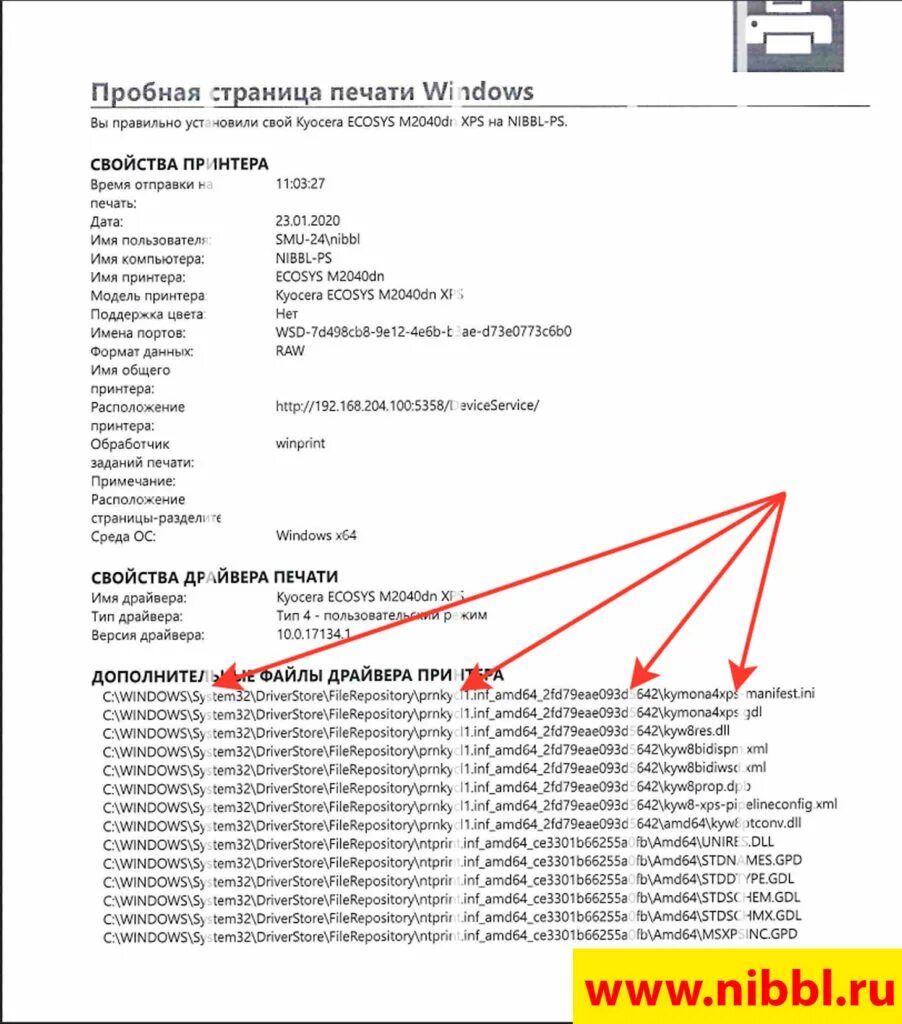 Kyocera полосы при печати. Дефекты печати Kyocera. Полоса при печати на лазерном принтере Kyocera. Точки при печати на лазерном принтере.