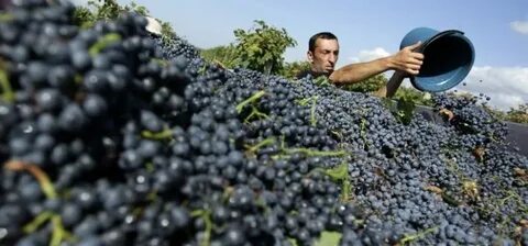 Хозяйство грузии