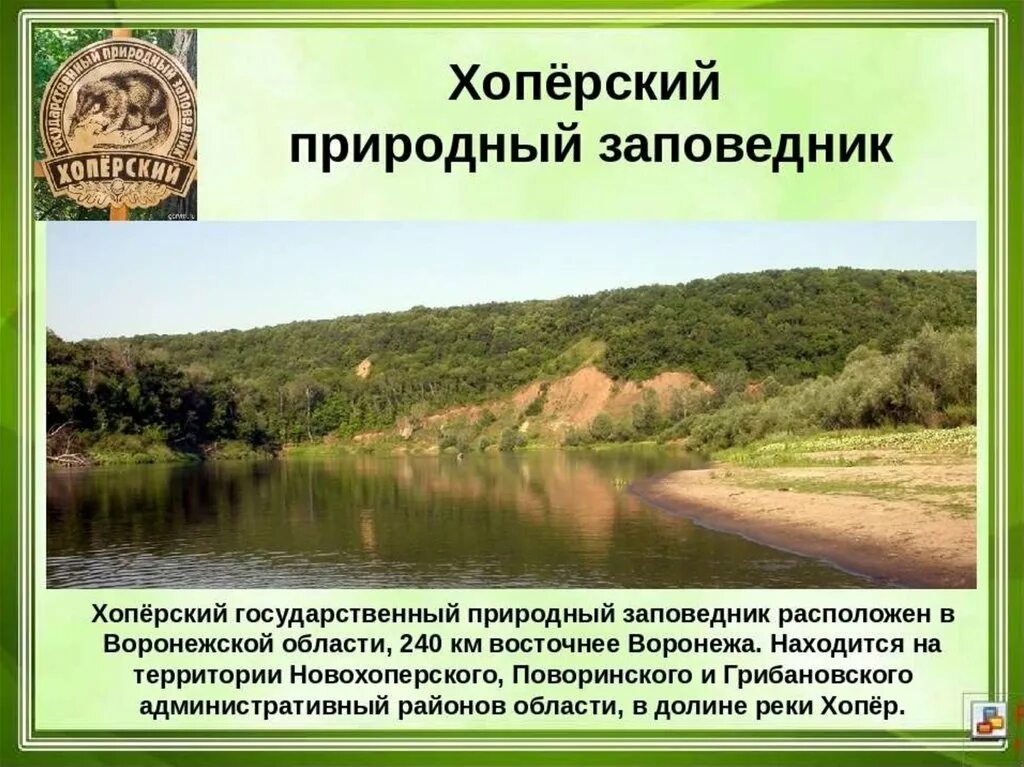 Природные парки доклад. Хопёрский природный заповедник. Охрана природы Воронежской области заповедник. Национальные парки и заповедники Воронежа и Воронежской области. Хоперский заповедник Воронеж.