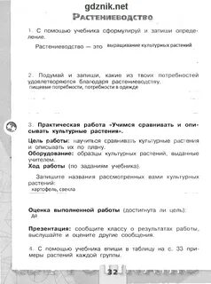 Практическая работа учимся описывать культурные растения 3