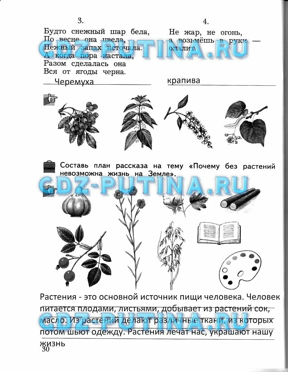 Растения окружающий мир 3 класс рабочая тетрадь. Окружающий мир 3 класс Виноградова. Окружающий мир рабочая тетрадь стр 30. Домашнее задание 3 кл мир растений окружающий мир.