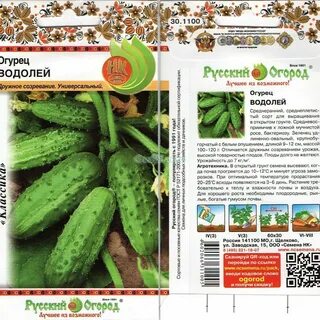 Сорт огурцов водолей
