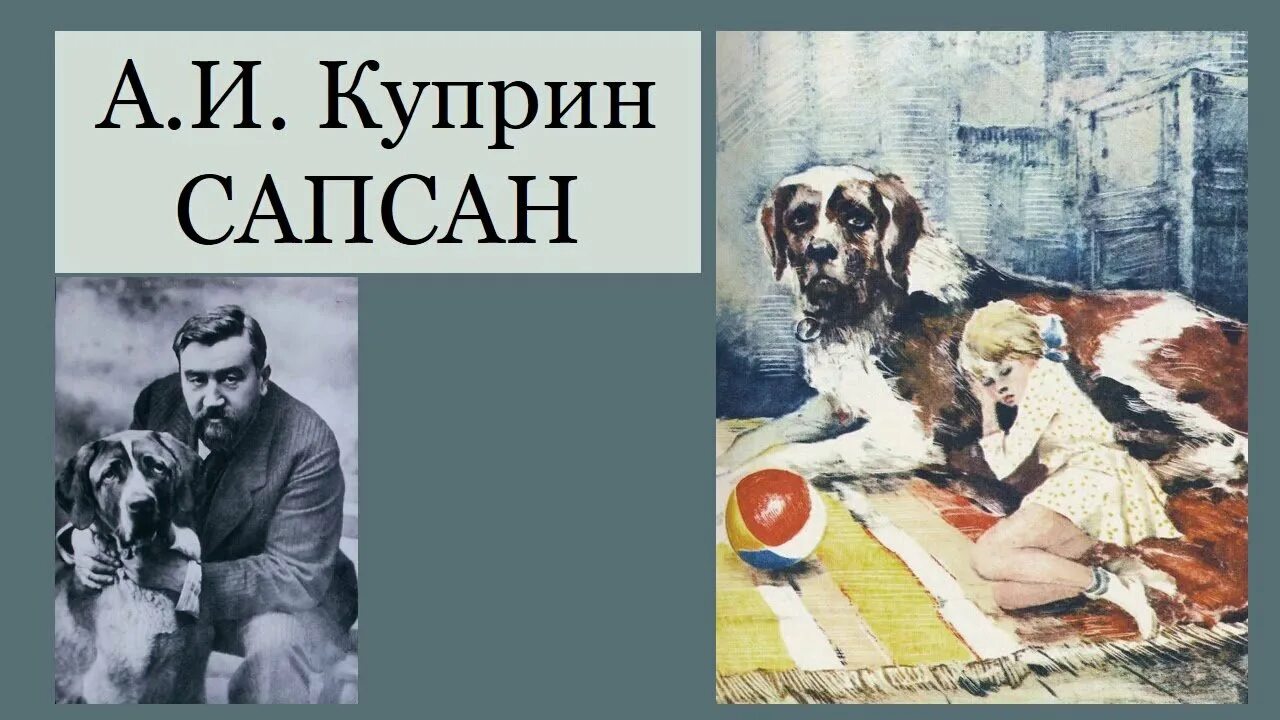 Однажды вечером куприн. Сапсан собака Куприн. Сапсан рассказы о собаках а.Куприн. Иллюстрации к рассказу Сапсан Куприна.