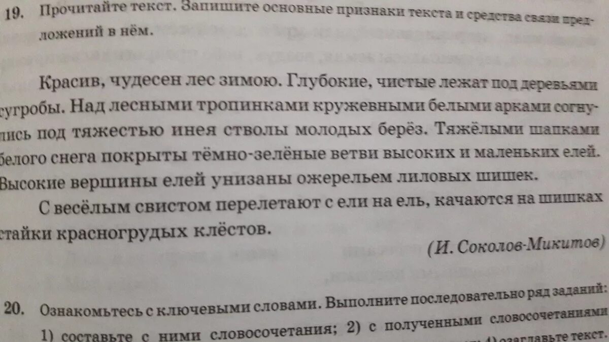 Сочинение на любую тему 5 класс. Сочинение на любую по рускомутему 6 класс. Сочинение на любую тему 5 класс по русскому языку. Русский язык 5 класс сочинение на любую тему.