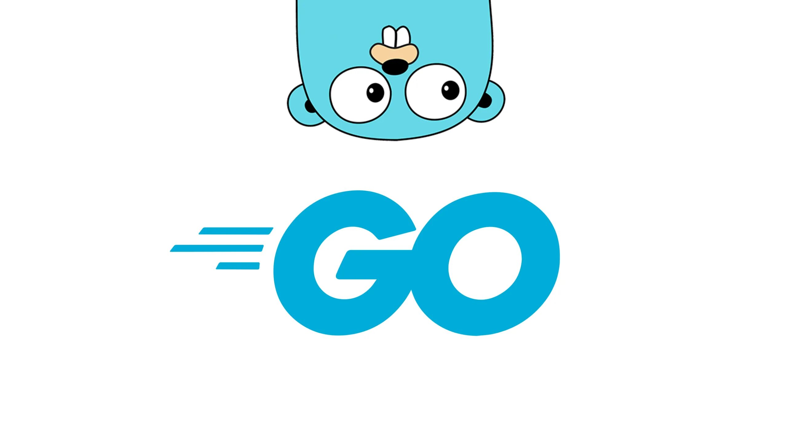 Golang echo. Голанг. golang собеседование. фото эмблема языка golang. golang keywords.