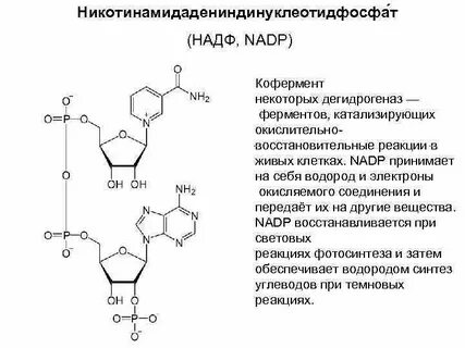 Восстановление надф до надф 2н