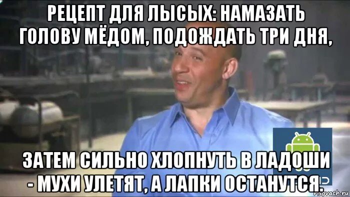 теперь я лысый. заходи лысый. а тебе лысый. шутки про лысых. шутки про лысых.