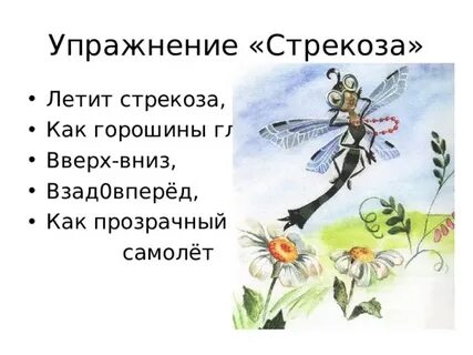 Одна стрекоза летит