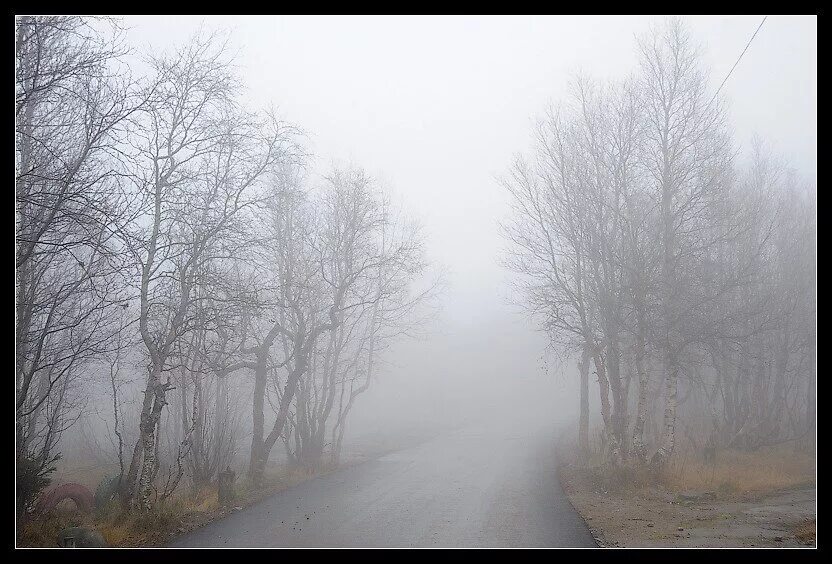 дождливая осень. хладная мгла. поздняя осень листья. пасмурная осень. поздняя осень дождь.