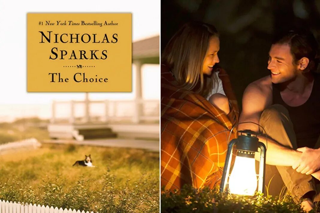 Sparks Nicholas "the choice". Выбор (the choice, 2016). Дорогой Джон Николас Спаркс книга.