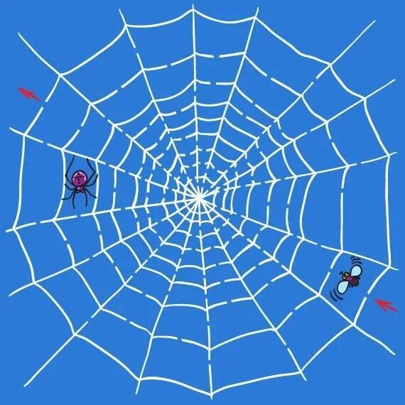 What s web