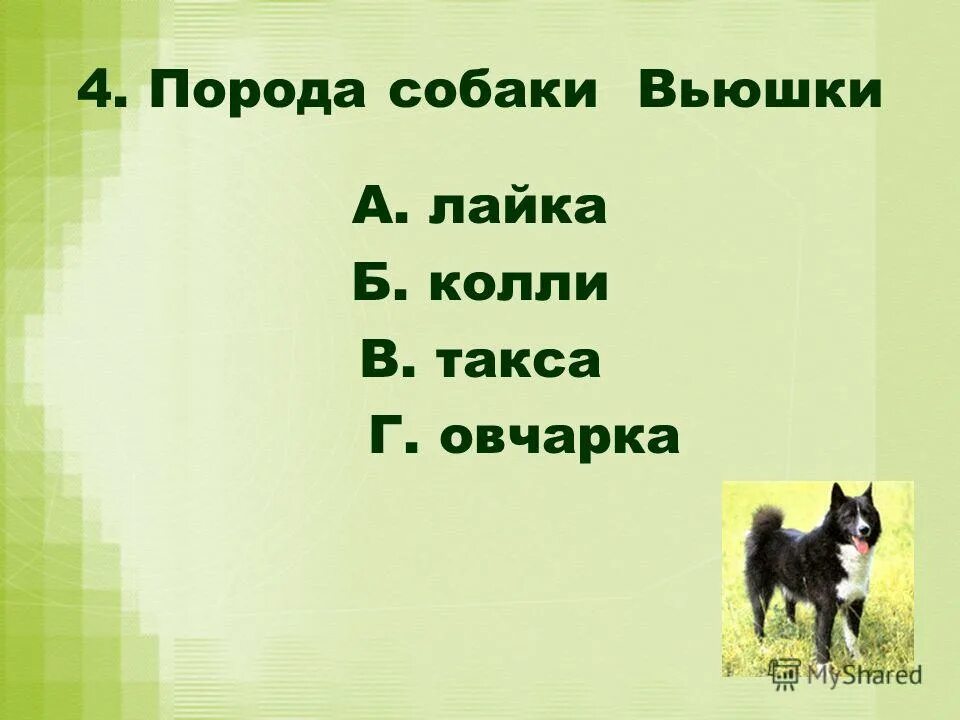 Урок литературного чтения 4 класс выскочка