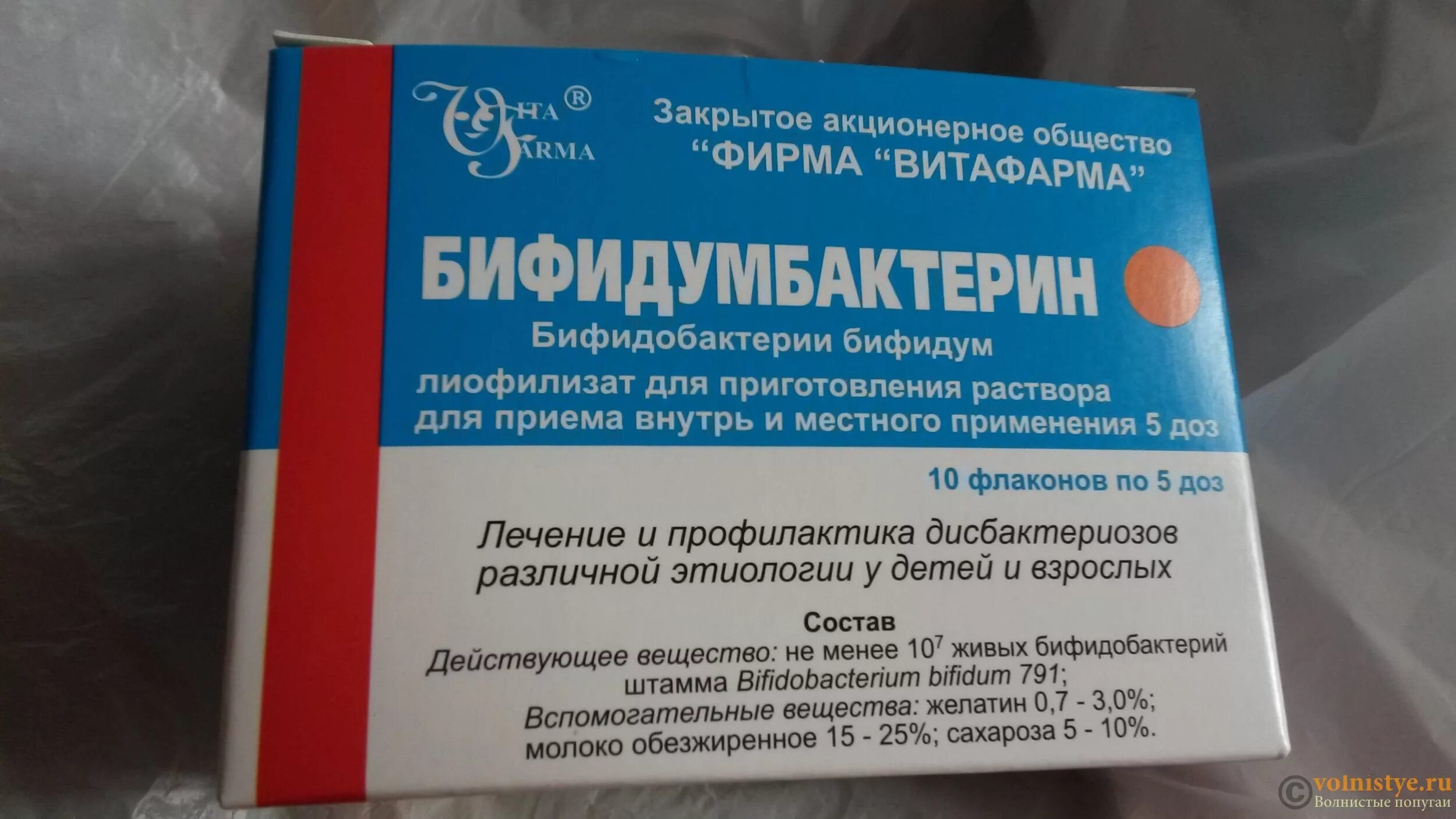 Как пить бифидумбактерин в порошке. Бифидумбактерин бифидум 5 доз. Бифидумбактерин уколы. Бифидумбактерин порошок. Бифидумбактерин для новорожденных дозировка.