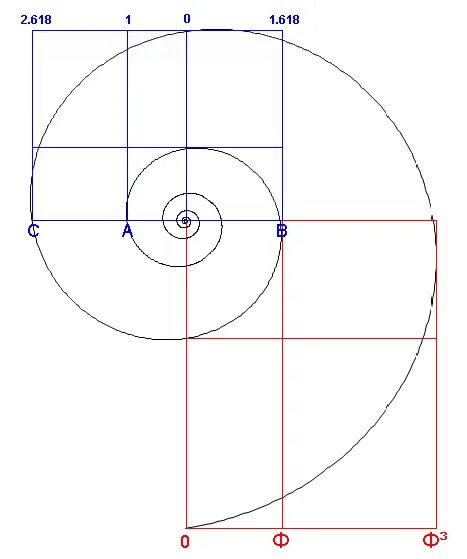 Циркуль фибоначчи. Золотое сечение Фибоначчи чертеж. Золотое сечение улитка. Спираль Фибоначчи построение. Спираль Фибоначчи чертеж.