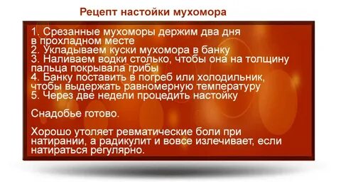 Настойка из мухоморов лечение