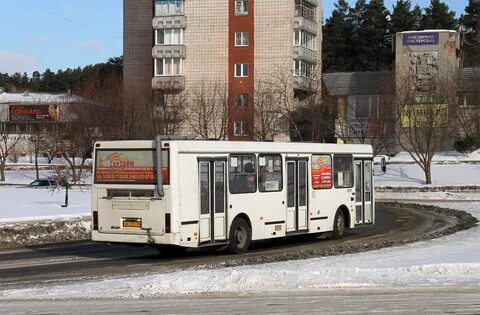 119 автобус железногорск