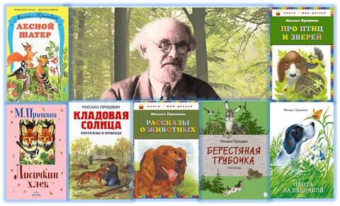 Отечественная литература о природе