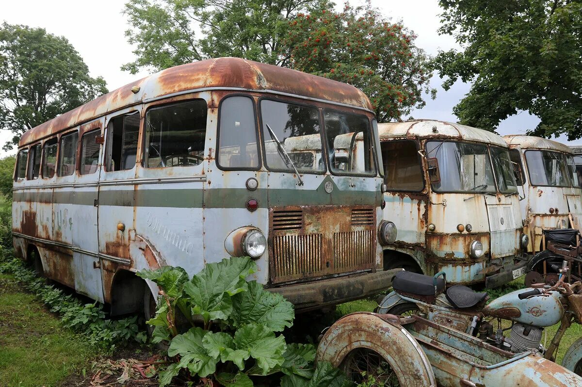 Автобусы старые дороги. Икарус Венгрия заброшенный. Старые автобусы. Древние автобусы. Очень старый автобус.