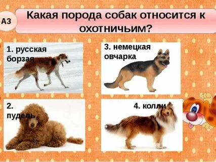 Породы собак 2 класс окружающий