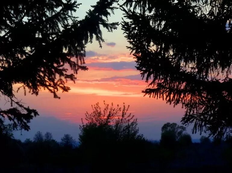 Ещё майская ночь фет стих. Ещё майская ночь фет. Ещё майская ночь фет анализ. Поэзия фета еще майская ночь. Ещё майская ночь фет.