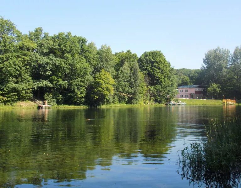 щёлковский хутор нижний новгород озёра. щелковский хутор 1 озеро нижний новгород. щелковский хутор 1 озеро нижний новгород. щелковский хутор 1 озеро нижний новгород. щёлковский хутор нижний новгород парк.