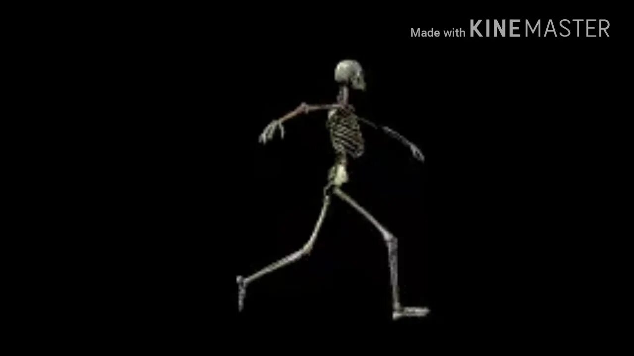 Падающий скелет. Движущие скелеты. скелет крадется. скелет человека анимация. скелет человека анимация для детей.