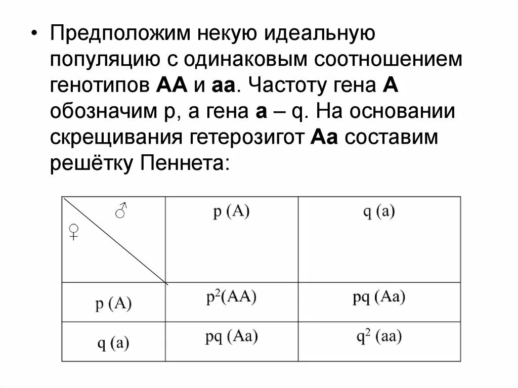 Частоты генов и генотипов. Генетика формула Харди Вайнберг. Частота встречаемости гетерозигот. Задачи по Харди Вайнбергу. Задачи на закон Харди-Вайнберга 11 класс биология.