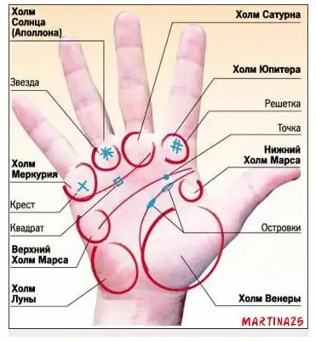 Стороны ладони. Холм Юпитера на ладони. Части ладони названия. Холм Сатурна хиромантия. Как называются части ладони.